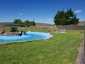 sterland-pool-area